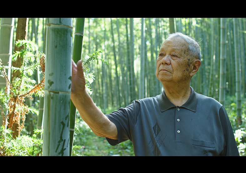 制扇技藝-徐義林 國家級非物質文化遺產代...
